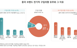 중국 브랜드 전기차, 10명 중 9명 ‘구매 의향 없다’